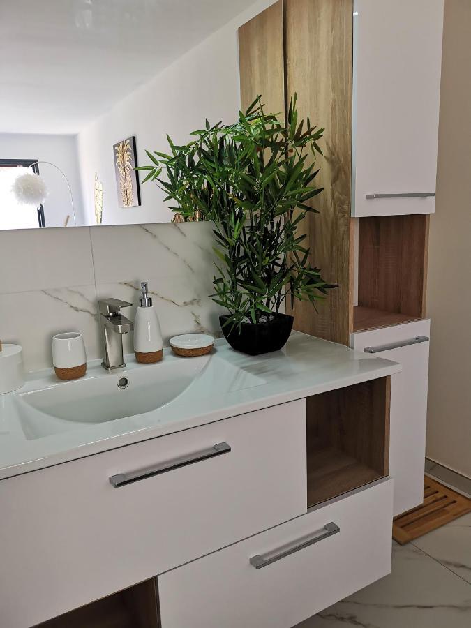 Studio Cocooning Banyuls-dels-Aspres Zewnętrze zdjęcie